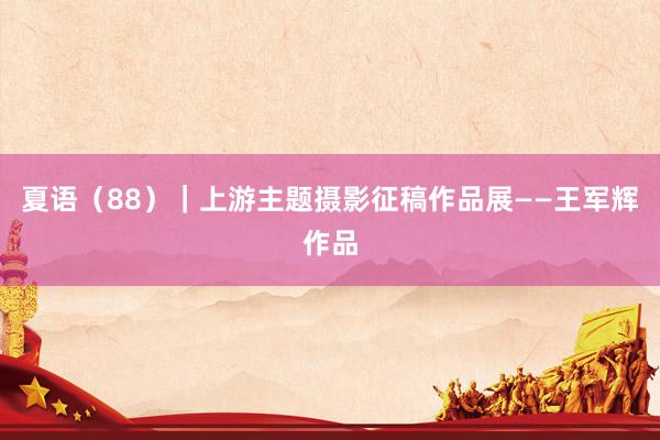 夏语（88）｜上游主题摄影征稿作品展——王军辉作品