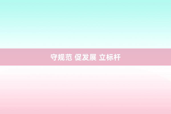 守规范 促发展 立标杆