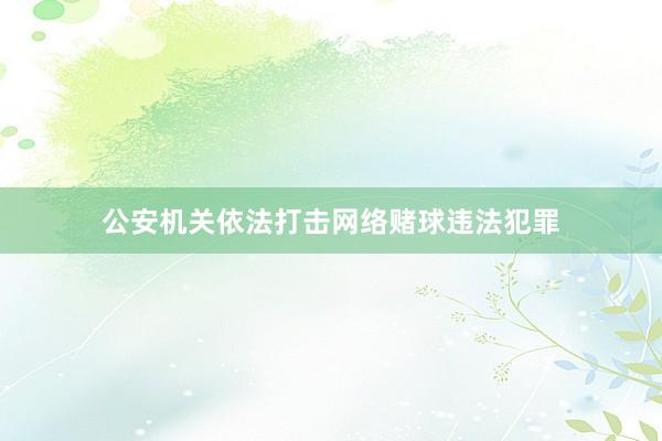公安机关依法打击网络赌球违法犯罪
