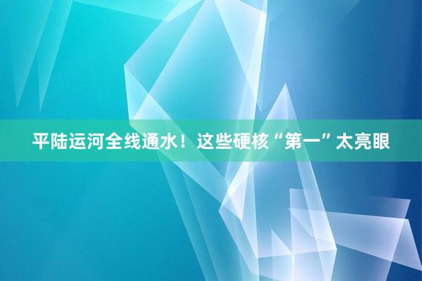 平陆运河全线通水！这些硬核“第一”太亮眼