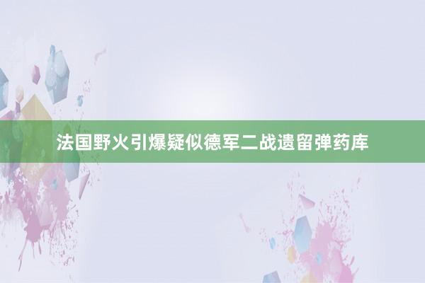 法国野火引爆疑似德军二战遗留弹药库