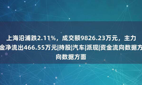 上海沿浦跌2.11%，成交额9826.23万元，主力资金净流出466.55万元|持股|汽车|派现|资金流向数据方面