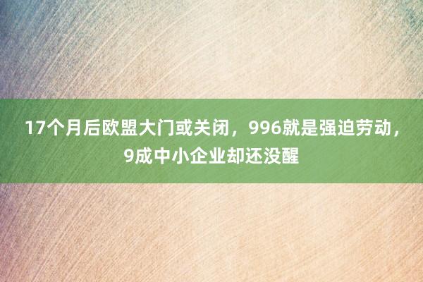 17个月后欧盟大门或关闭，996就是强迫劳动，9成中小企业却还没醒