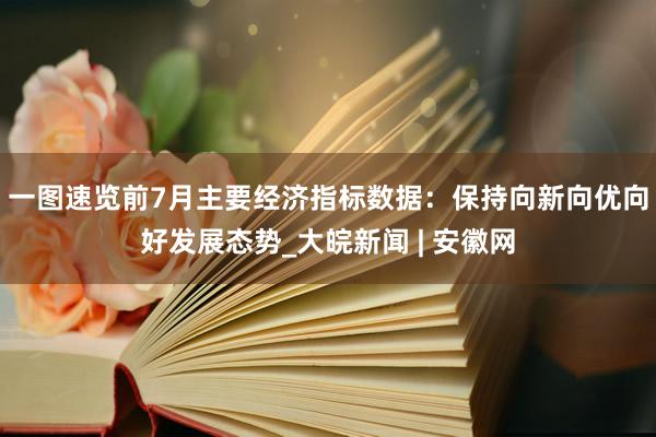 一图速览前7月主要经济指标数据：保持向新向优向好发展态势_大皖新闻 | 安徽网