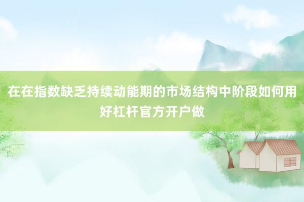 在在指数缺乏持续动能期的市场结构中阶段如何用好杠杆官方开户做