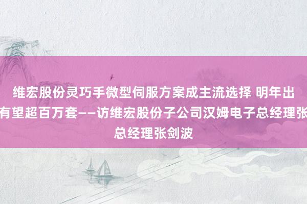 维宏股份灵巧手微型伺服方案成主流选择 明年出货量有望超百万套——访维宏股份子公司汉姆电子总经理张剑波