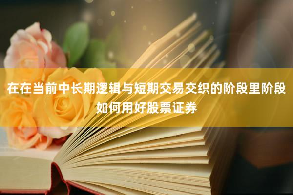 在在当前中长期逻辑与短期交易交织的阶段里阶段如何用好股票证券