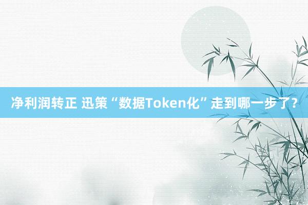 净利润转正 迅策“数据Token化”走到哪一步了？