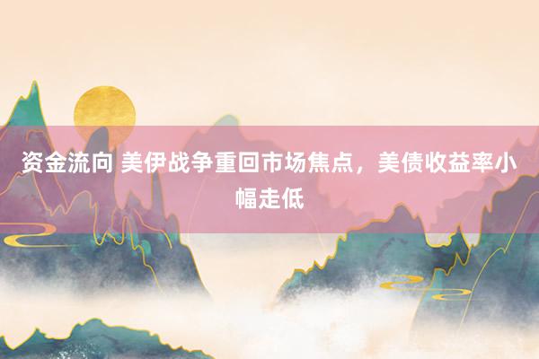 资金流向 美伊战争重回市场焦点，美债收益率小幅走低