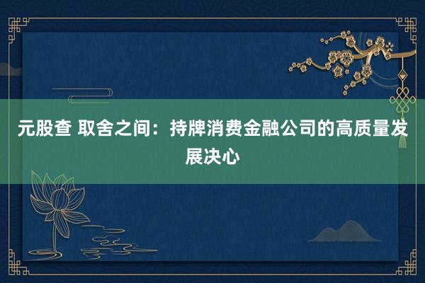 元股查 取舍之间：持牌消费金融公司的高质量发展决心