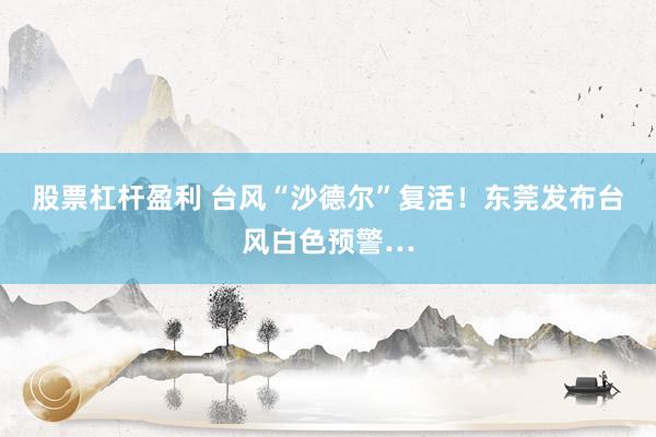 股票杠杆盈利 台风“沙德尔”复活！东莞发布台风白色预警…