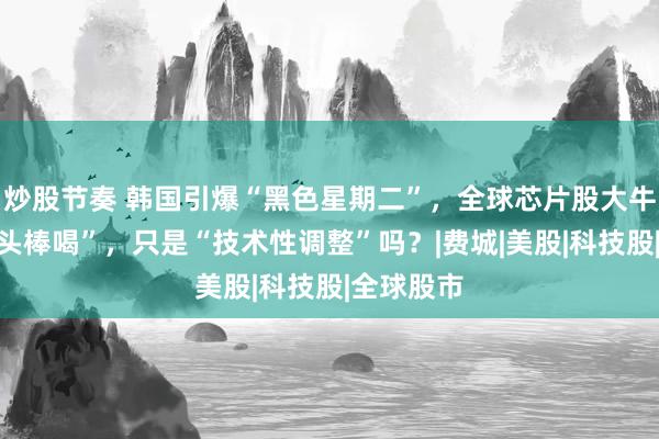 炒股节奏 韩国引爆“黑色星期二”，全球芯片股大牛市遭“当头棒喝”，只是“技术性调整”吗？|费城|美股|科技股|全球股市