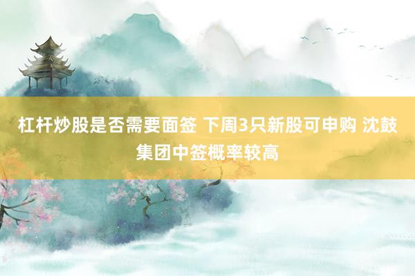 杠杆炒股是否需要面签 下周3只新股可申购 沈鼓集团中签概率较高
