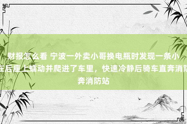 财报怎么看 宁波一外卖小哥换电瓶时发现一条小蛇在后座上蠕动并爬进了车里，快速冷静后骑车直奔消防站