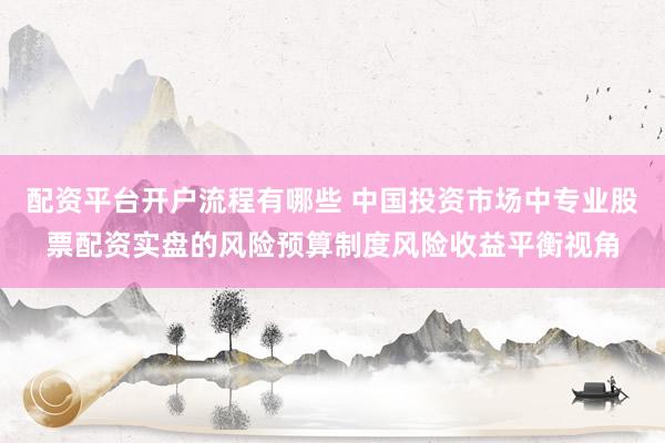 配资平台开户流程有哪些 中国投资市场中专业股票配资实盘的风险预算制度风险收益平衡视角