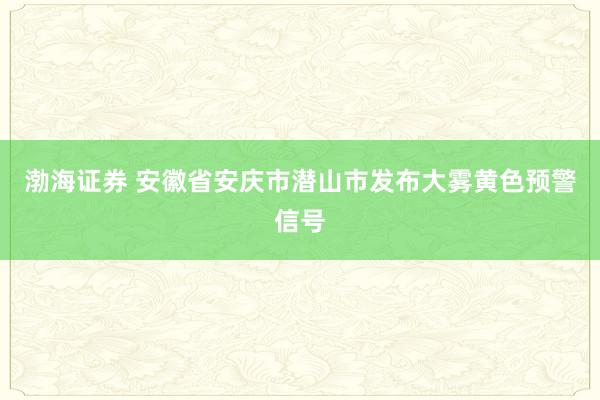 渤海证券 安徽省安庆市潜山市发布大雾黄色预警信号