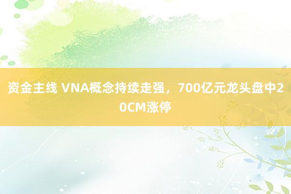 资金主线 VNA概念持续走强，700亿元龙头盘中20CM涨停