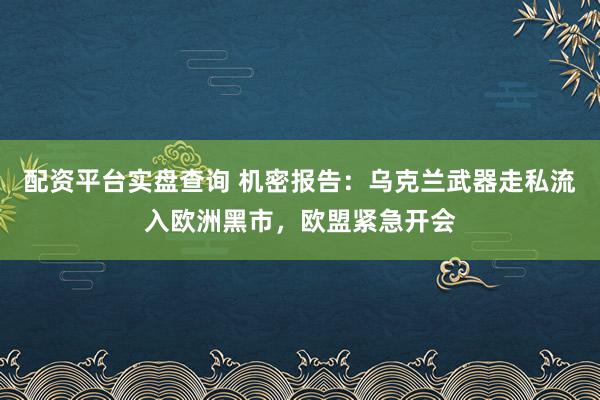 配资平台实盘查询 机密报告：乌克兰武器走私流入欧洲黑市，欧盟紧急开会