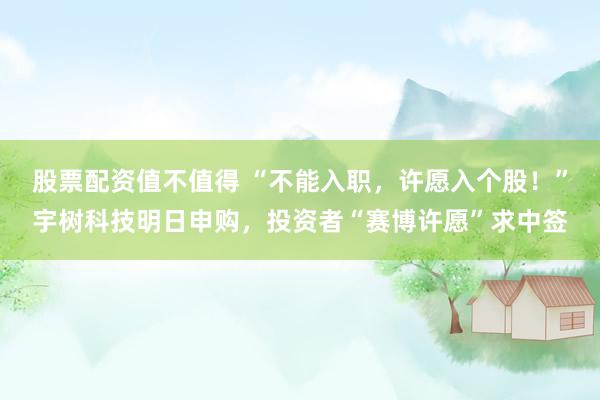 股票配资值不值得 “不能入职，许愿入个股！”宇树科技明日申购，投资者“赛博许愿”求中签