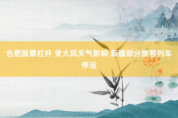 合肥股票杠杆 受大风天气影响 新疆部分旅客列车停运