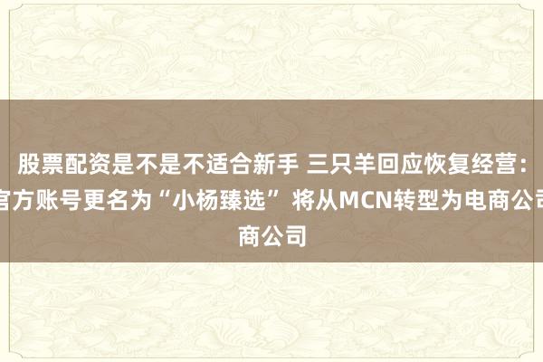 股票配资是不是不适合新手 三只羊回应恢复经营：官方账号更名为“小杨臻选” 将从MCN转型为电商公司