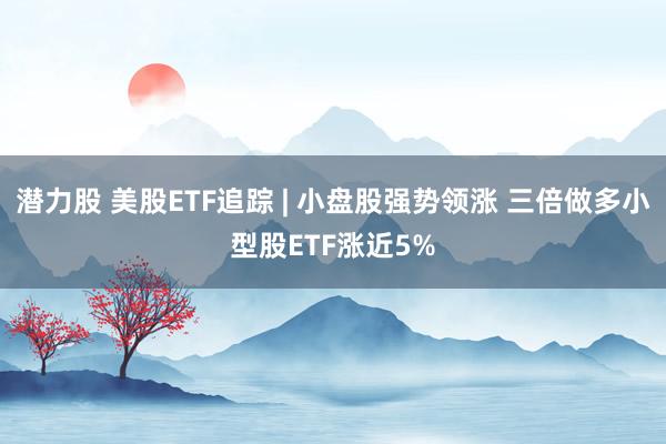 潜力股 美股ETF追踪 | 小盘股强势领涨 三倍做多小型股ETF涨近5%