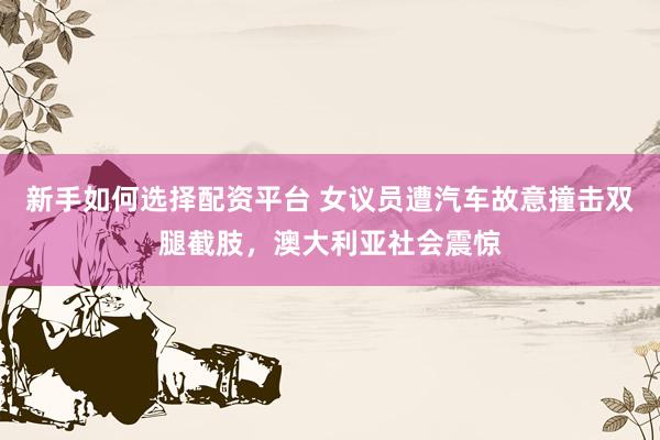 新手如何选择配资平台 女议员遭汽车故意撞击双腿截肢,澳大利亚社会震惊
