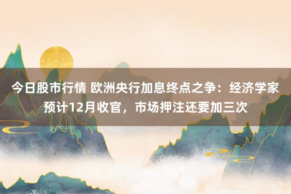 今日股市行情 欧洲央行加息终点之争：经济学家预计12月收官，市场押注还要加三次