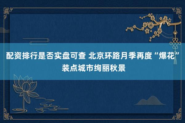 配资排行是否实盘可查 北京环路月季再度“爆花” 装点城市绚丽秋景
