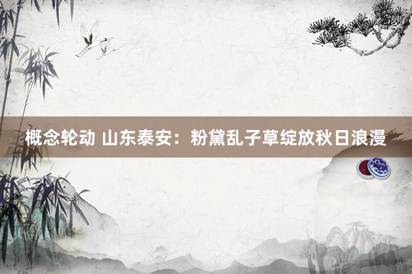 概念轮动 山东泰安：粉黛乱子草绽放秋日浪漫